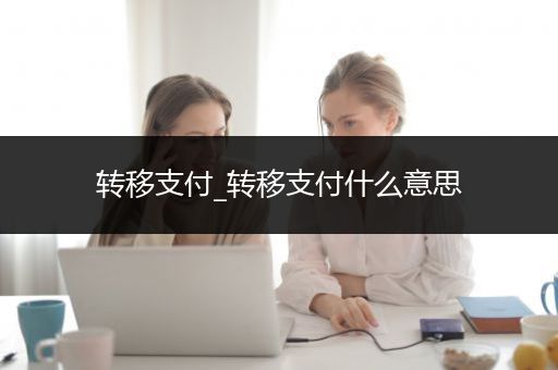 转移支付_转移支付什么意思